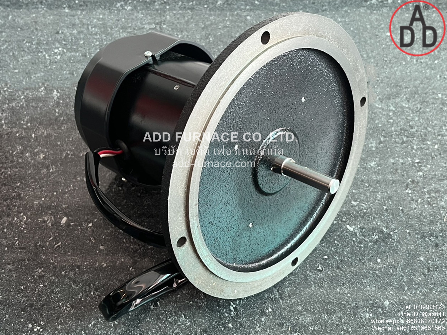 Pilot Burner Motor 220V 200W 2Pole (6)